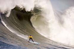 开云足球直播-雄鹿绞杀悬念，当字母哥的咆哮遇上哈利伯顿的沉默狙击