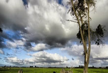 开云官方app入口-马赛血洗里昂，阿拉巴高光表现的简单介绍