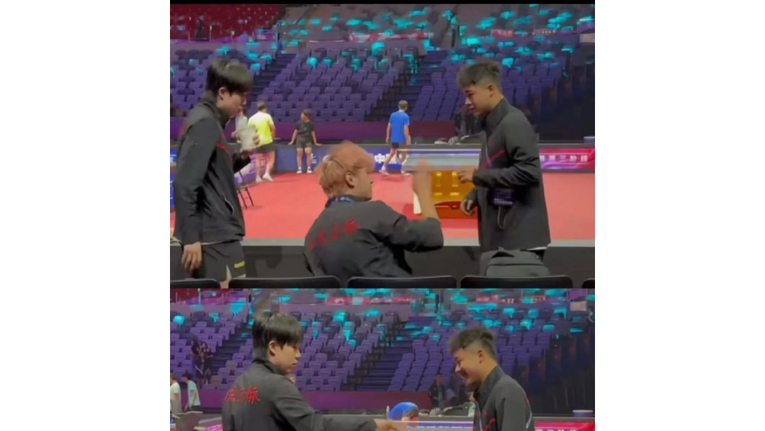 波兰乒乓球队鏖战日本乒乓球队，许昕一己之力扛起全队的简单介绍