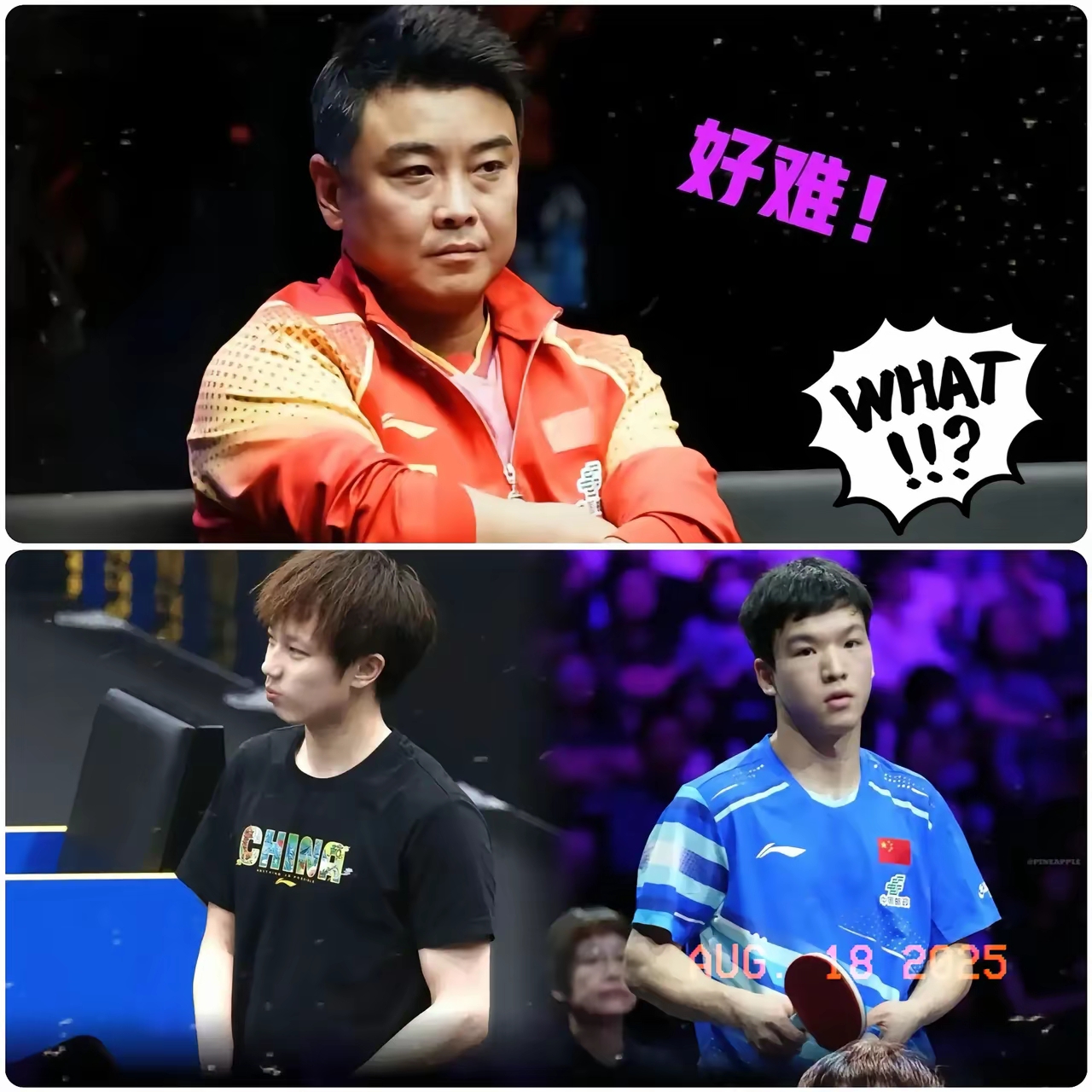 德国乒乓球队爆冷波兰乒乓球队，王皓关键制胜的简单介绍