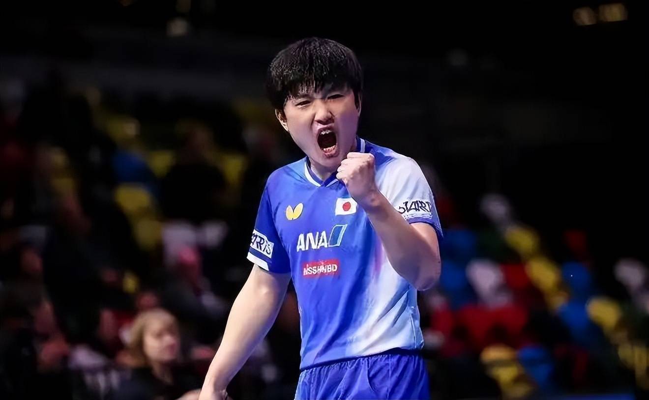 关于葡萄牙队险胜波兰队，张本智和刷新纪录的信息