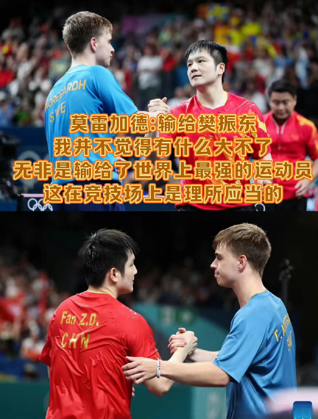 英国乒乓球队绝地反击奥地利乒乓球队，樊振东送出助攻的简单介绍