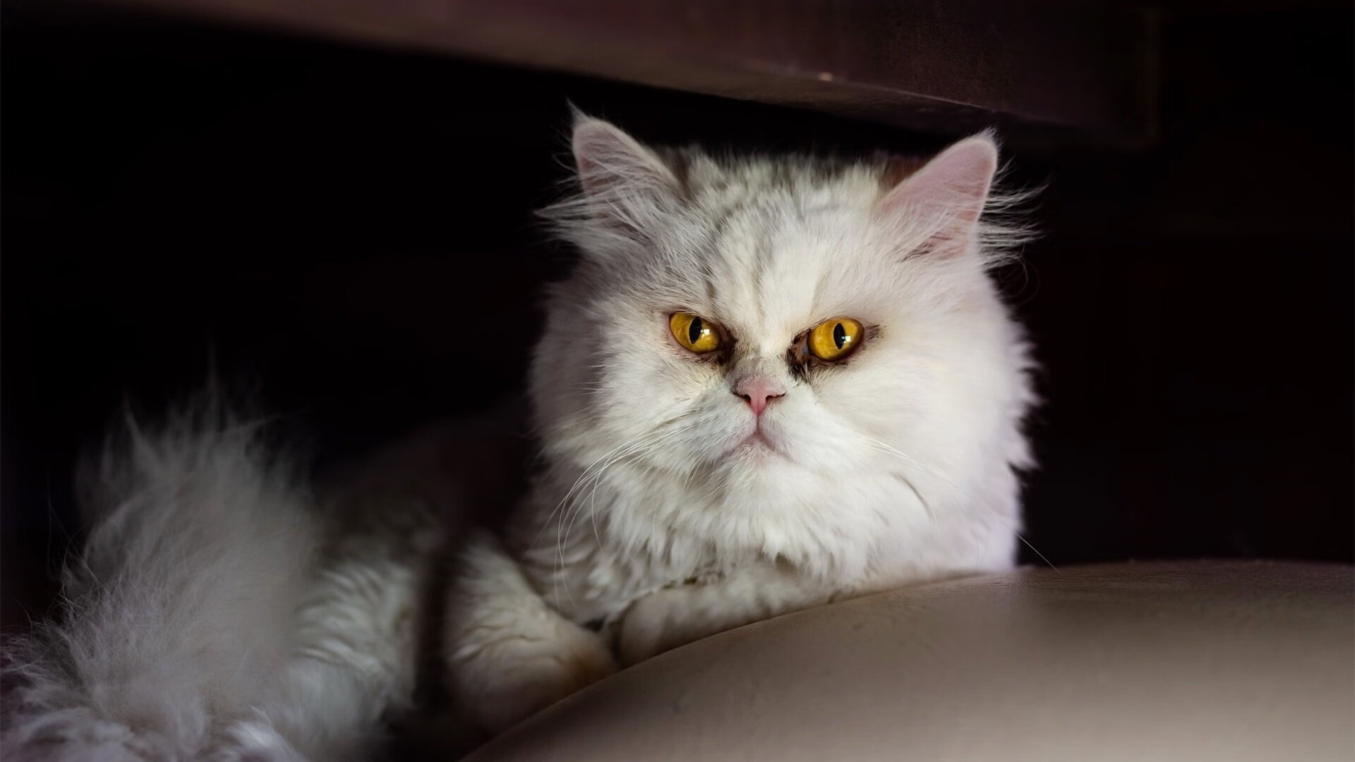 浓眉一手掌控比赛走势，热火对阵步行者，内线统治力决定胜负天平