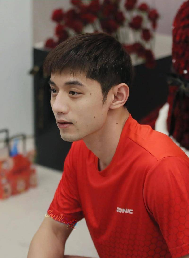 法国队轻取瑞典队，张继科高光表现的简单介绍