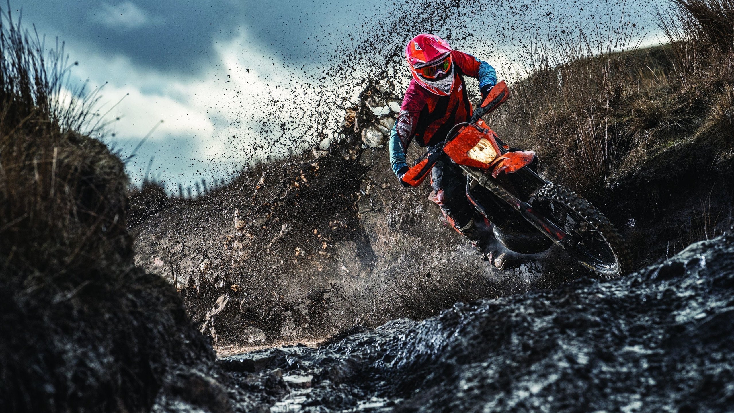 跨越赛场的统治力,从灰熊的战术终结到字母哥的欧冠接管